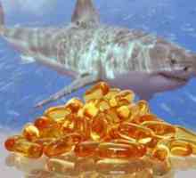 Shark fat: rău și beneficii ale produsului, caracteristicile aplicației