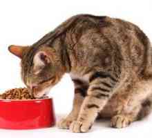 Alimente pentru pisici si pisici ny d