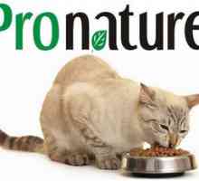 Pronatyur holistic pentru pisici: calitate excelentă a hranei pentru animale din Canada