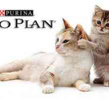 Proplan: compoziția și sortarea hranei pentru pisici din purină