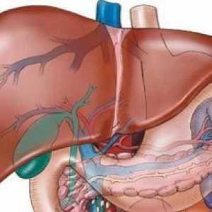 Ce este hemangiomul hepatic și tratamentul acestuia