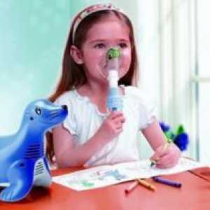 Ce nebulizator este cel mai bun pentru copii și adulți: o descriere a modelelor și a recenziilor