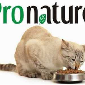 Pronatyur holistic pentru pisici: calitate excelentă a hranei pentru animale din Canada