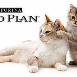 Proplan: compoziția și sortarea hranei pentru pisici din purină