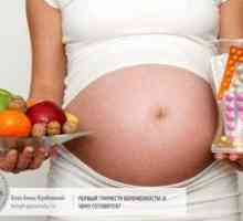 Antibiotice în timpul sarcinii 2 trimestre
