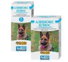 Asinox Plus pentru câini: instrucțiuni de utilizare