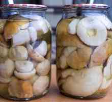 Ciuperci albe marinate pentru iarnă: rețete de gătit
