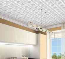 Placi de tavan fără sudură: avantaje, tipuri și instalare