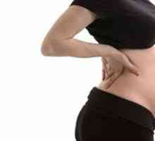 Durerea înapoi în timpul sarcinii timpurii