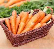 Cum să hrăniți morcovii în sol deschis