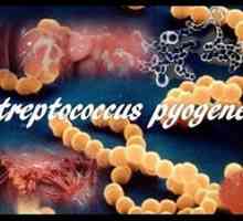 Ce este acest streptococ pyogenes: tratamentul cu Streptococcus