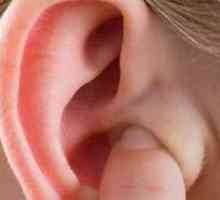 Care este tragusul urechii. Durerea când este presată