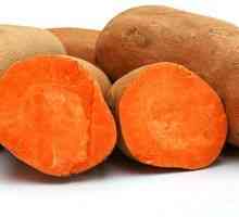 Ce este yam de cartofi dulci și care este folosirea și răul