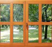 Rame de lemn: caracteristicile ferestrelor din lemn