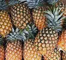 În cazul în care ananas crește în natură, utilizarea și proprietăți utile