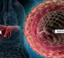 Hepatita a, c, c și perioada lor de incubație