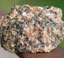 Granit și proprietățile sale: specii, densitate, granularitate