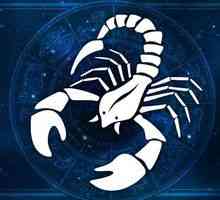Caracteristicile unui scorpion horoscop modern
