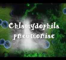Chlamydia pneumoniae (chlamydia pneumoniae)
