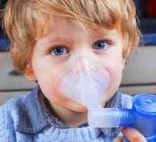 Nebulizator pentru tuse inhalator pentru copil: manual