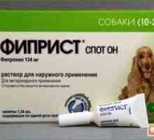 Instrucțiuni de utilizare a medicamentului fistprist la fața locului pentru câini și pisici