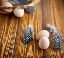 Guinea păsări ouă: caracteristici, beneficii și rău, aplicare