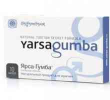 Yarsagumba: instrucțiuni, contraindicații și opiniile medicului