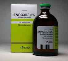 Enroxil: instrucțiuni pentru utilizare în medicina veterinară