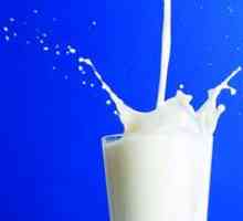 Ce visul laptelui - cartea de vis "lapte"