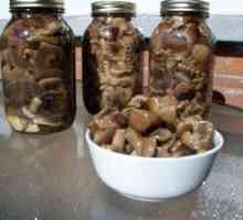 Cum să mâncați rapid ciupercile de stridii în casă
