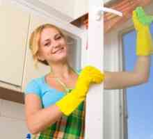 Cum și ce să spală ferestrele din plastic la domiciliu