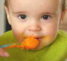 Cum să înveți un copil să mestece alimente solide