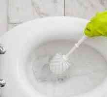 Cum să curățați toaleta de piatră de var și de urină?