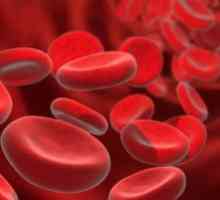Cum de a crește nivelul hemoglobinei unui copil?