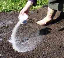 Cum să epuizăm solul în grădină în primăvară înainte de plantare