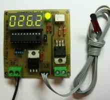 Cum se creează un termoregulator pentru un incubator, termostat