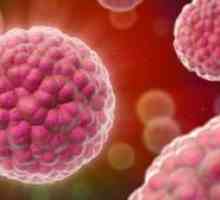 Cum se trece analiza HPV: tratamentul papilomavirusului la femei
