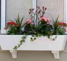 Cum de a alege cutii de balcon pentru flori pe balcon?