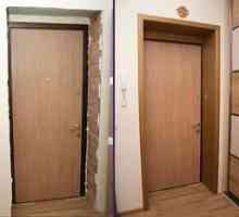 Cum să alegeți materialul pentru finisarea ușii de intrare din interiorul apartamentului