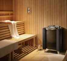Cum de a alege o sobă de lemn pentru o saună și o saună?
