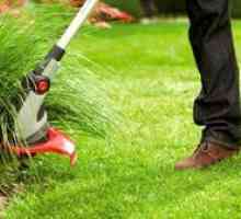 Cum sa alegi un trimmer pentru iarba: tipuri, avantaje si dezavantaje