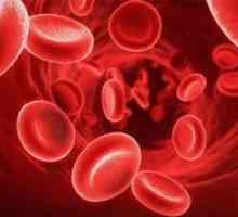 Care este norma trombocitelor din sângele femeilor și bărbaților?
