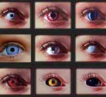 Care sunt tipurile de lentile de contact pentru ochi