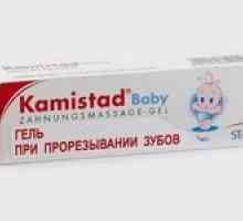 Kamiistad baby: instrucțiuni pentru utilizarea gelului