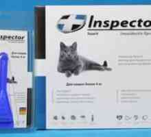 Inspectie picaturi pentru pisici - descriere si instruire