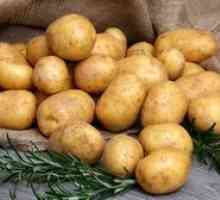 Gala de cartofi: descrierea și caracterizarea soiului, îngrijire, recenzii