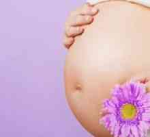 Colpită în timpul sarcinii: opțiuni de tratament și consecințe asupra copilului