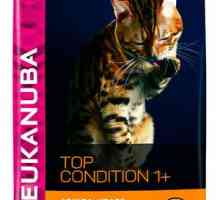 Alimentele pentru pisici eukanuba și caracteristicile sale principale