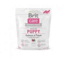 Alimente premium "Brit" pentru câini: caracteristici, compoziție și beneficii