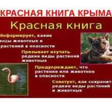 Cartea Roșie a Crimeei: animale și plante rare